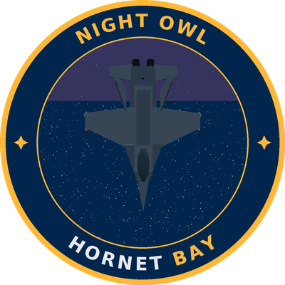 Night Owl squadron patch: top-down Hornet under a starlit cap roundel